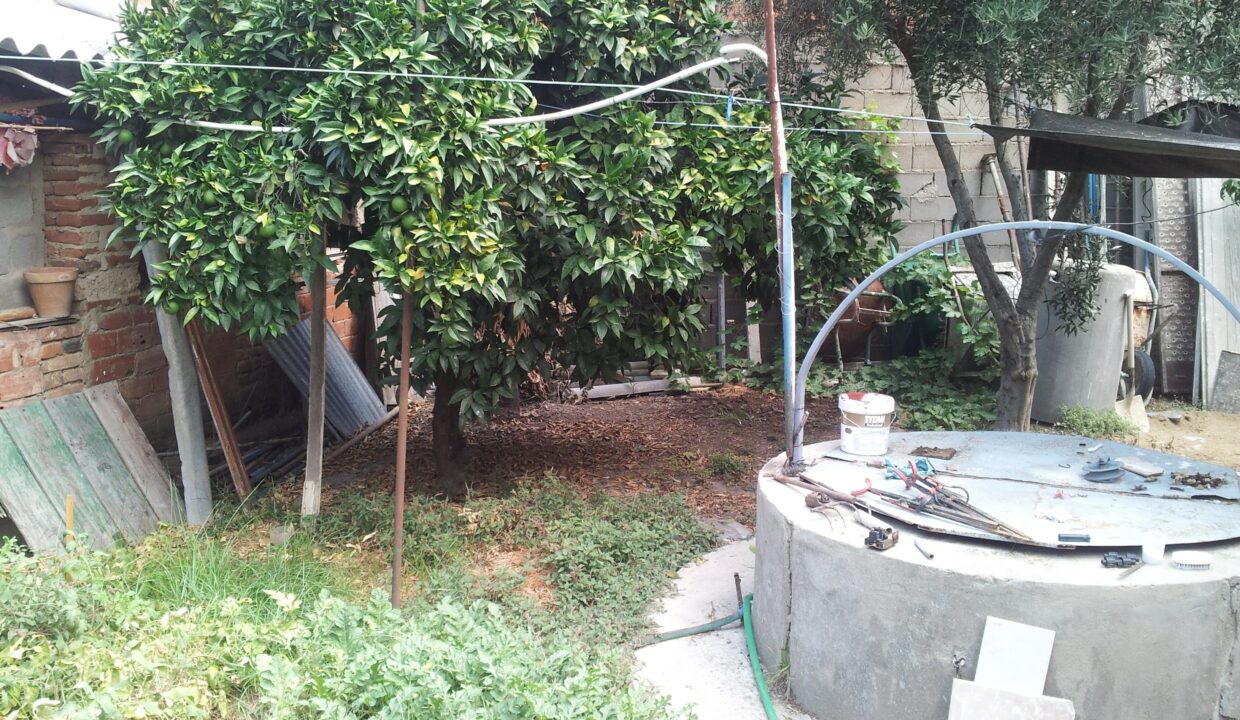 9PATIO CV049