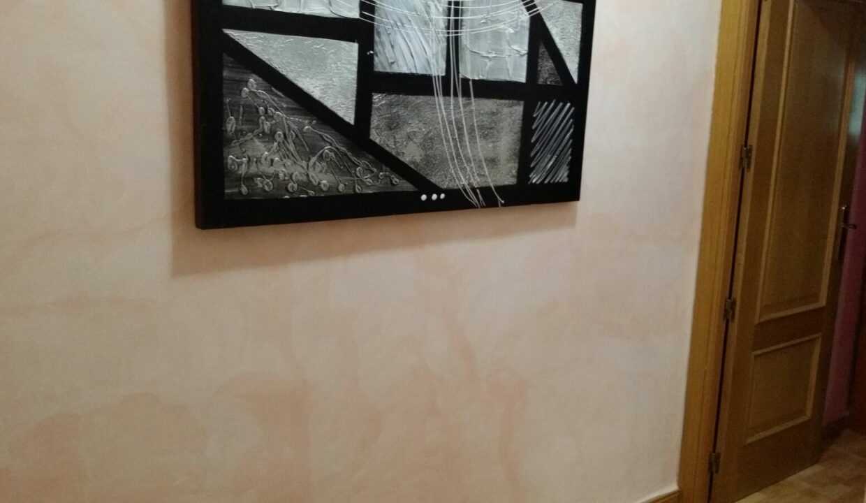 10 PASILLO PV016