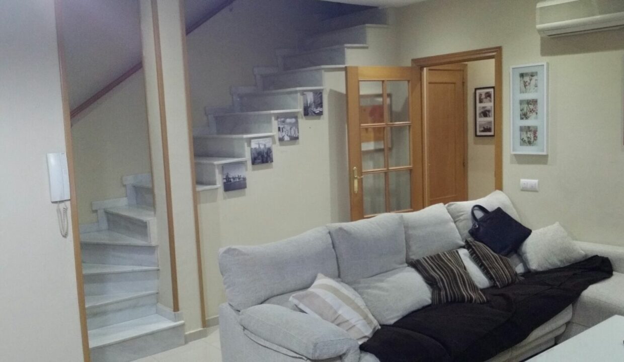 3SALON CV015
