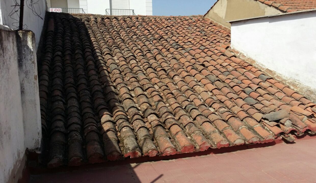 4TERRAZA CV019