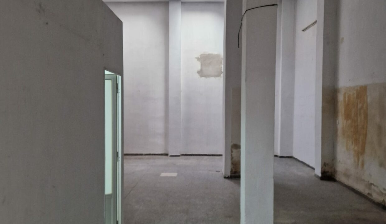 Imagen de WhatsApp 2024-05-09 a las 11.38.28_afab5894