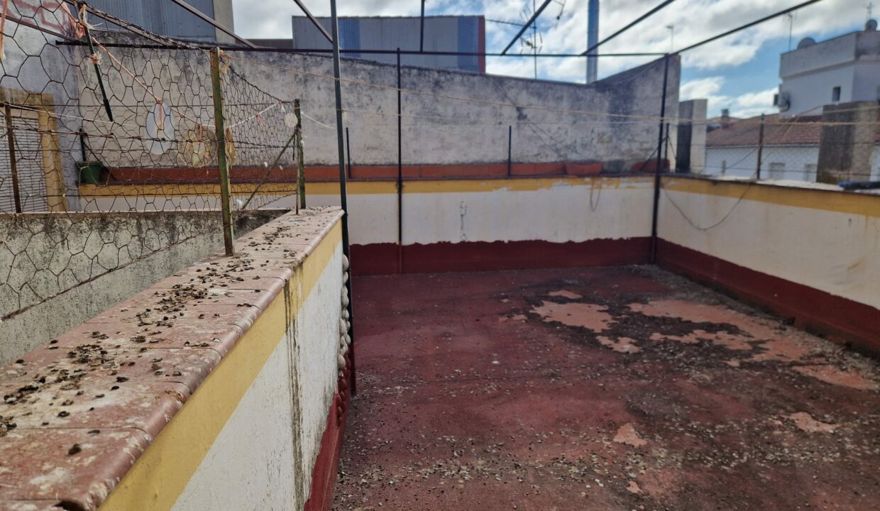 IMG-20251006-WA0004
