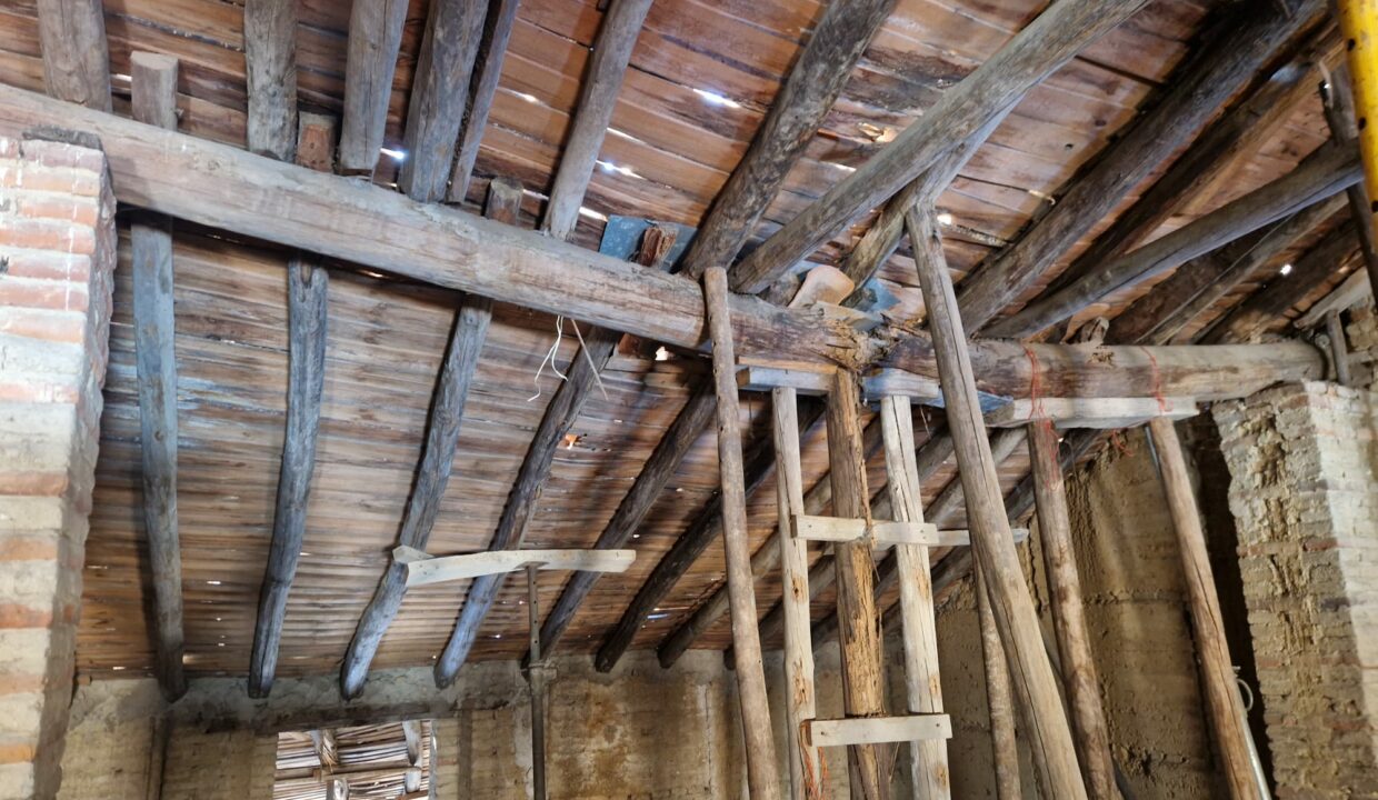 Imagen de WhatsApp 2025-10-29 a las 20.23.47_940127a8