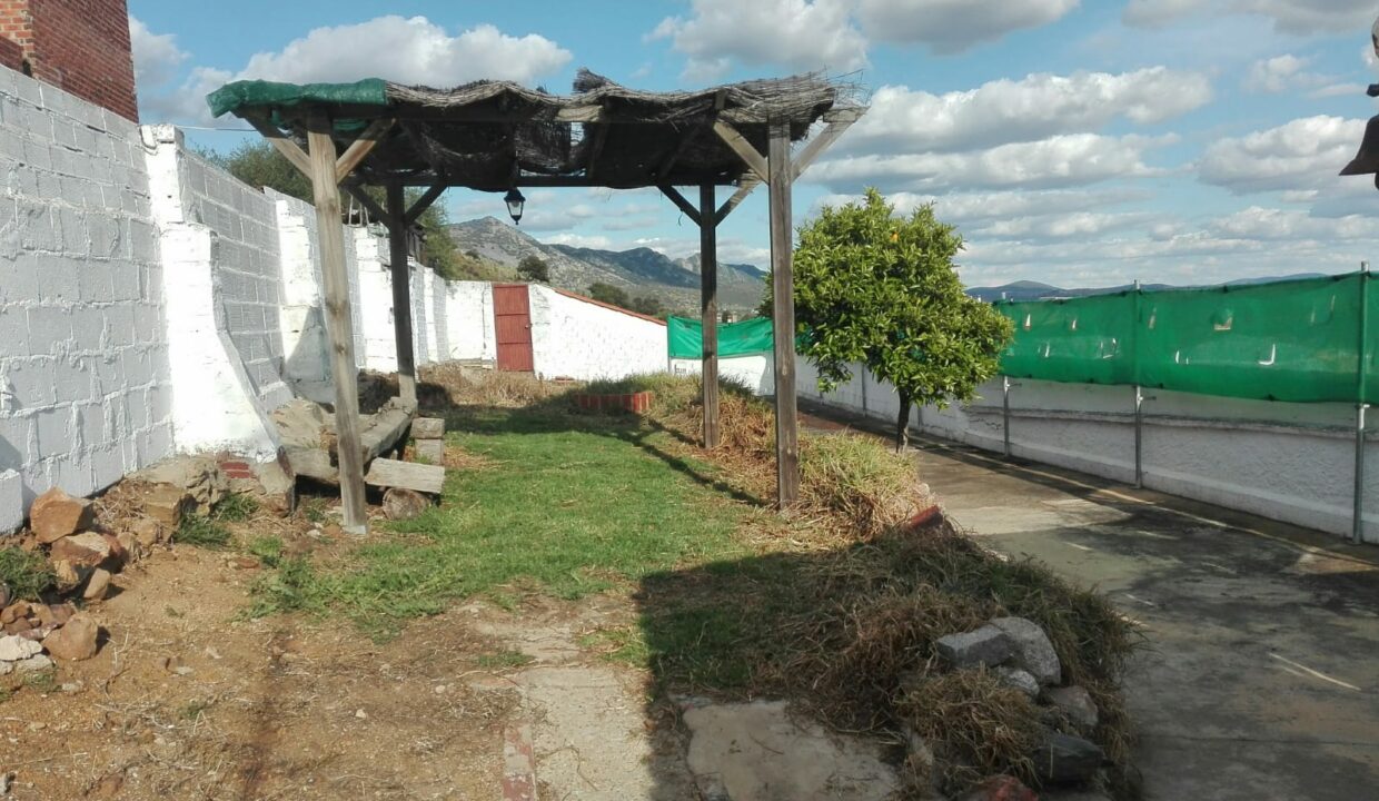 WhatsApp Image 2026-02-05 at 15.01.36 (3)