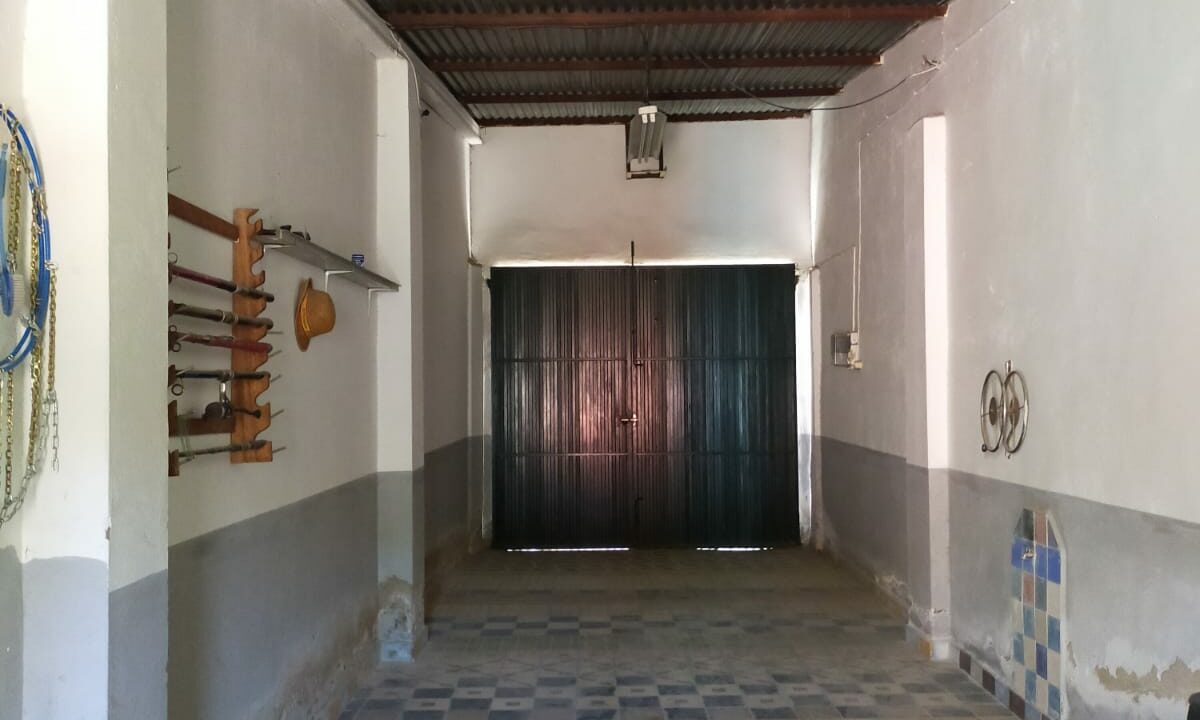 WhatsApp Image 2026-03-26 at 10.59.58 (1)